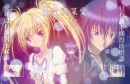 shugo chara
