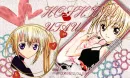 shugo chara