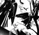 Black Bird