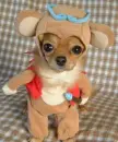 Puppy