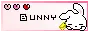 bunny
