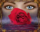 eye