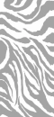 Grey zebra