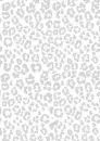 Grey leopard
