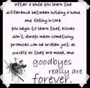 Goodbye