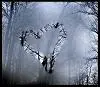 Heart on Window