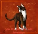 Spottedleaf " your gone but not forgotten"