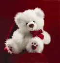 teddy 