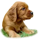 My 