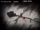 Bleeding