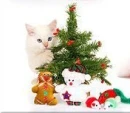 CHRISTMAS