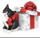 Kitten Christmas