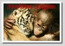 friendship