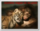 friendship