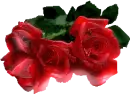 Rosses