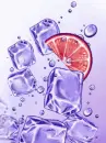 icecubes and citrus