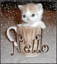 hello kitten in a cup