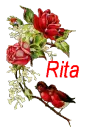 Rita