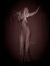 Dream Lady