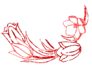 red flower