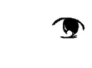 Itsuki Koizumi (Flipnote studio)