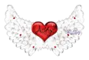 Ashtyn Heart Wings