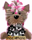 Doggie