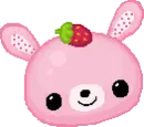 cute bunny