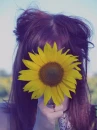 sunflower girl