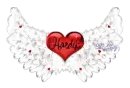 Hardik Heart Wings