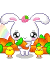 bunny
