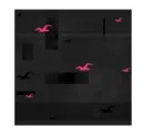 Hollister 3