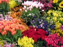 beautiful pics