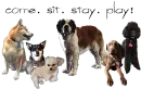 dogs