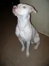 awwww