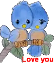 love birds