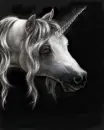 unicorn