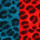 blue & red Leopard