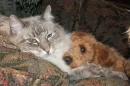 Friendship know's no boundries