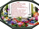 SENSONAL