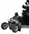 four wheelers