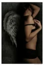 Sleeping Angel