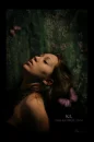 Butterfly Dream