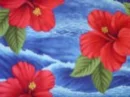 Hawaiian flower