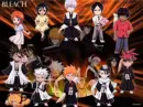  bleach