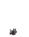 Scottie 