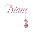 Pink Shoe - Diane