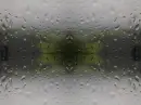 raindrops