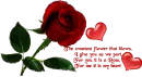 love poem