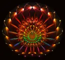 Rosette